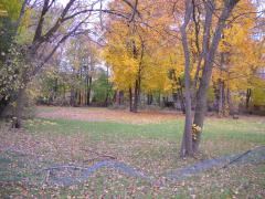 5388 Collingwood, Kalamazoo, MI